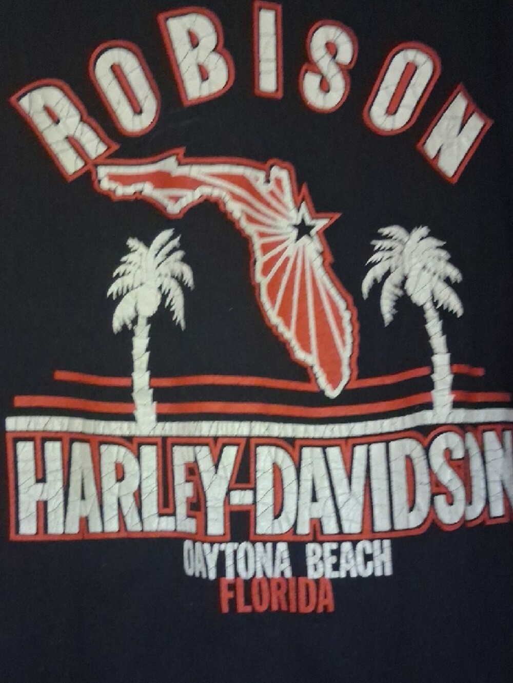 Harley-Davidson Black Tee with Eagle and Neon Palm Graphic - Picture 4 of 4